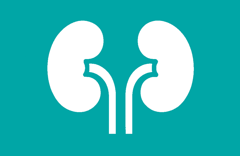 Καρκίνος του Νεφρού. Άρθρο του Ουρολόγου Γιατρού Κοριτσιάδη Γεώργιου